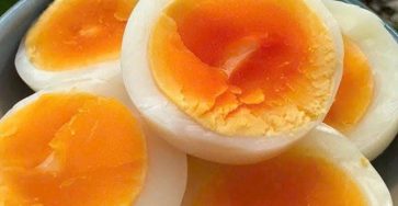 610710526 1435279864657375 4199572286575339132 n