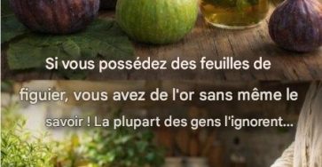 611284034 1440194344165927 6766729883775880451 n