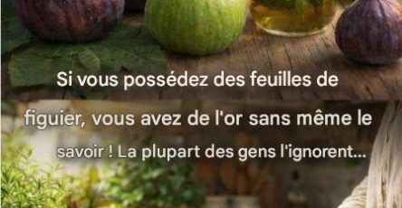 611284034 1440194344165927 6766729883775880451 n