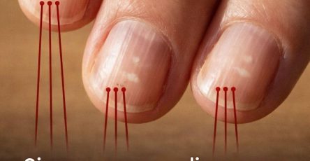 615066110 1442926063892755 8931832210980720564 n