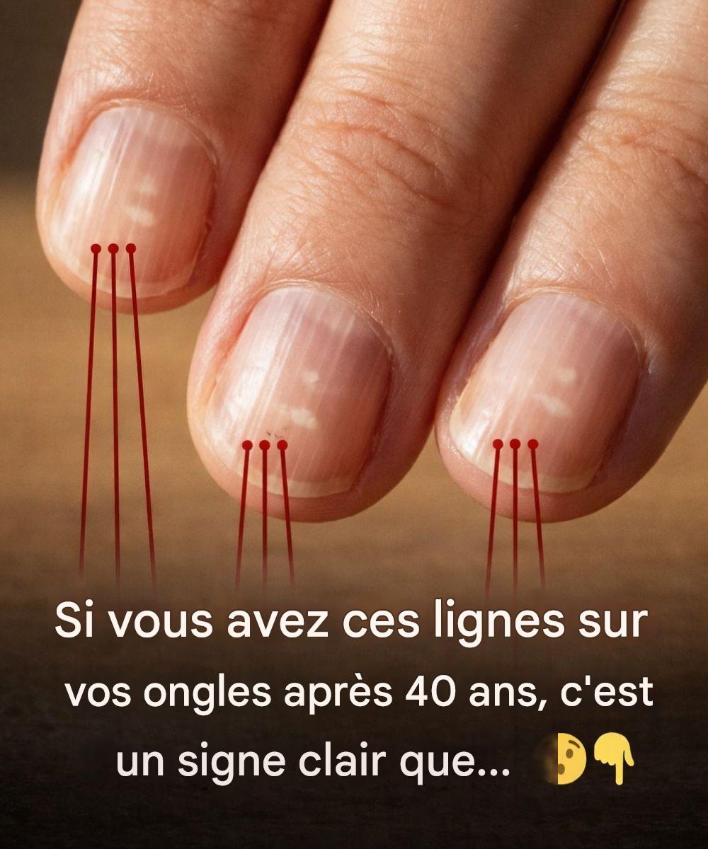 615066110 1442926063892755 8931832210980720564 n