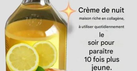 622677237 911595911424415 1444165623902899231 n