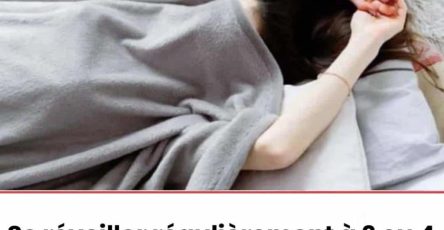 626515955 1600941331247766 3893291402558135507 n