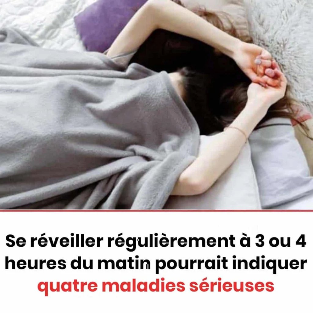 626515955 1600941331247766 3893291402558135507 n