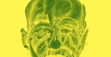 626952005 1600962581245641 8915423069090441772 n