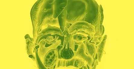 626952005 1600962581245641 8915423069090441772 n