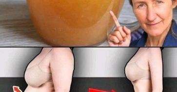 631671971 122126447361043659 732635415894114938 n