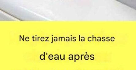 634895383 122105972673243123 1236380315217967921 n (1)