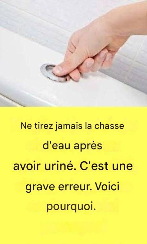 634895383 122105972673243123 1236380315217967921 n (1)