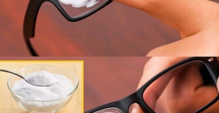 635180130 1609567053718527 4550702409807576763 n (1)