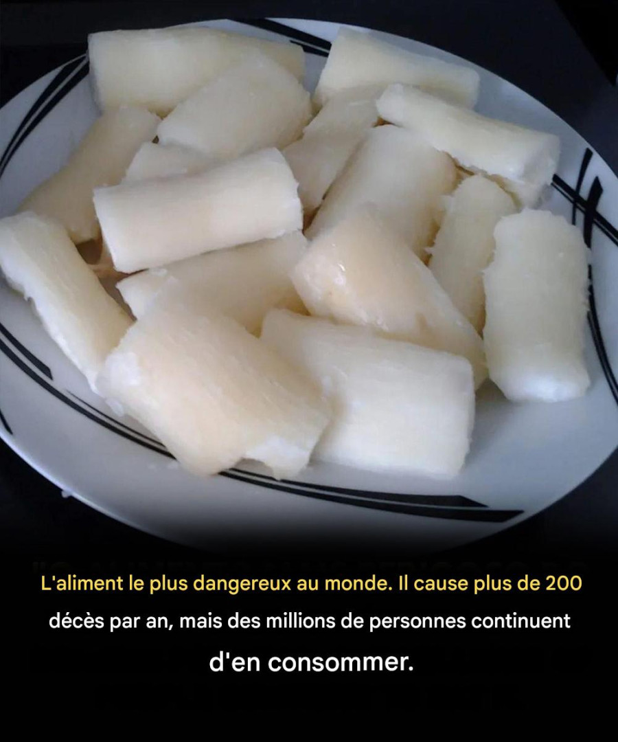 636837616 122165739734897054 2038174884370477415 n