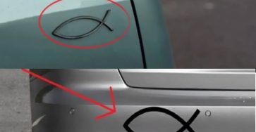 639198492 1622910105518002 7502242473237554490 n