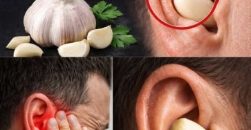 640078278 122126127789048423 9135869228665782538 n