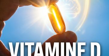 641515597 1332986032195175 5462324613268216623 n