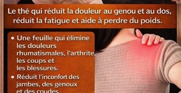 642884822 122224158314280762 2102568996448118016 n