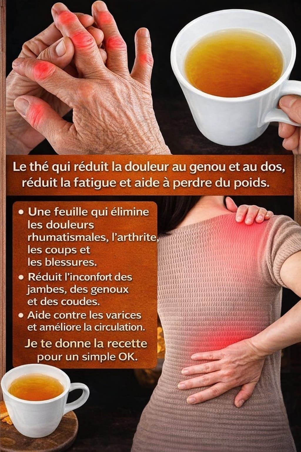 642884822 122224158314280762 2102568996448118016 n