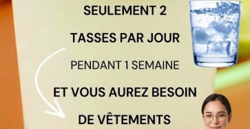 646399106 1469064434590124 2291198990861517451 n