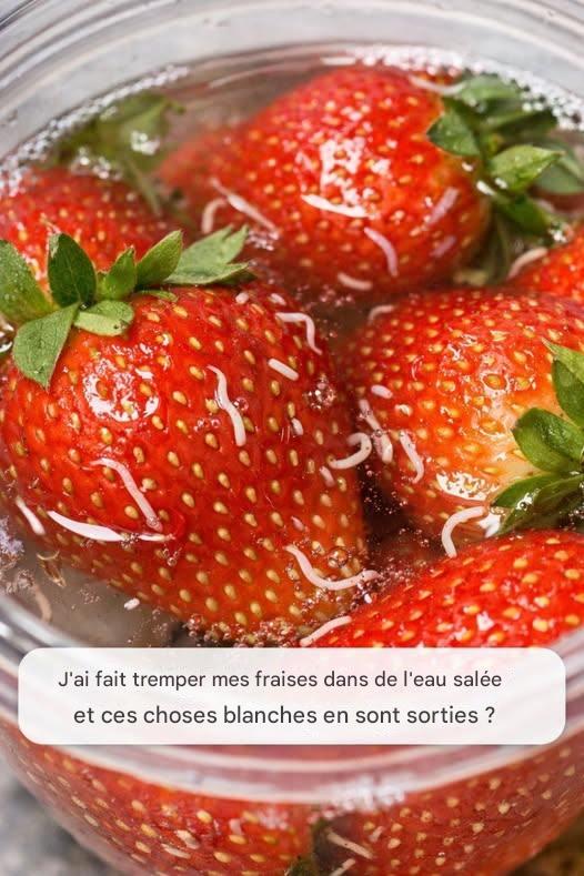 646779492 122241841484102037 7133575670184901999 n