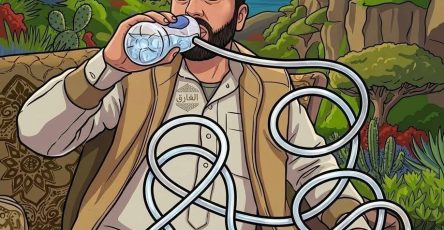 652464031 2219693611904242 8248270021682042068 n