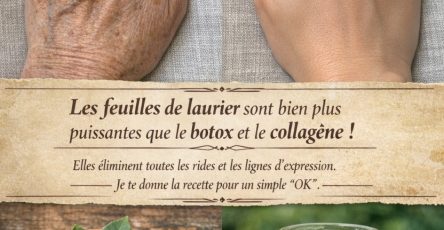 654189544 122116853595176057 4399620377180660551 n