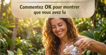 655358472 122117121735205411 9076487498080665705 n