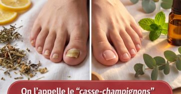 659717980 122118243339205411 4795498169920597641 n