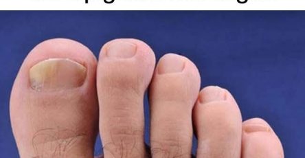 668eb161 2f5b 42cd 86bc 31c24df9980d