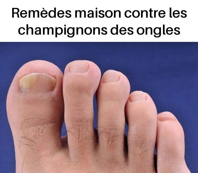 668eb161 2f5b 42cd 86bc 31c24df9980d