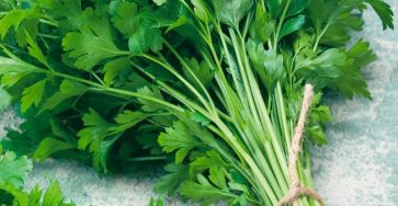 6c8e1005 f97f 46b3 b818 47e290f6caa7