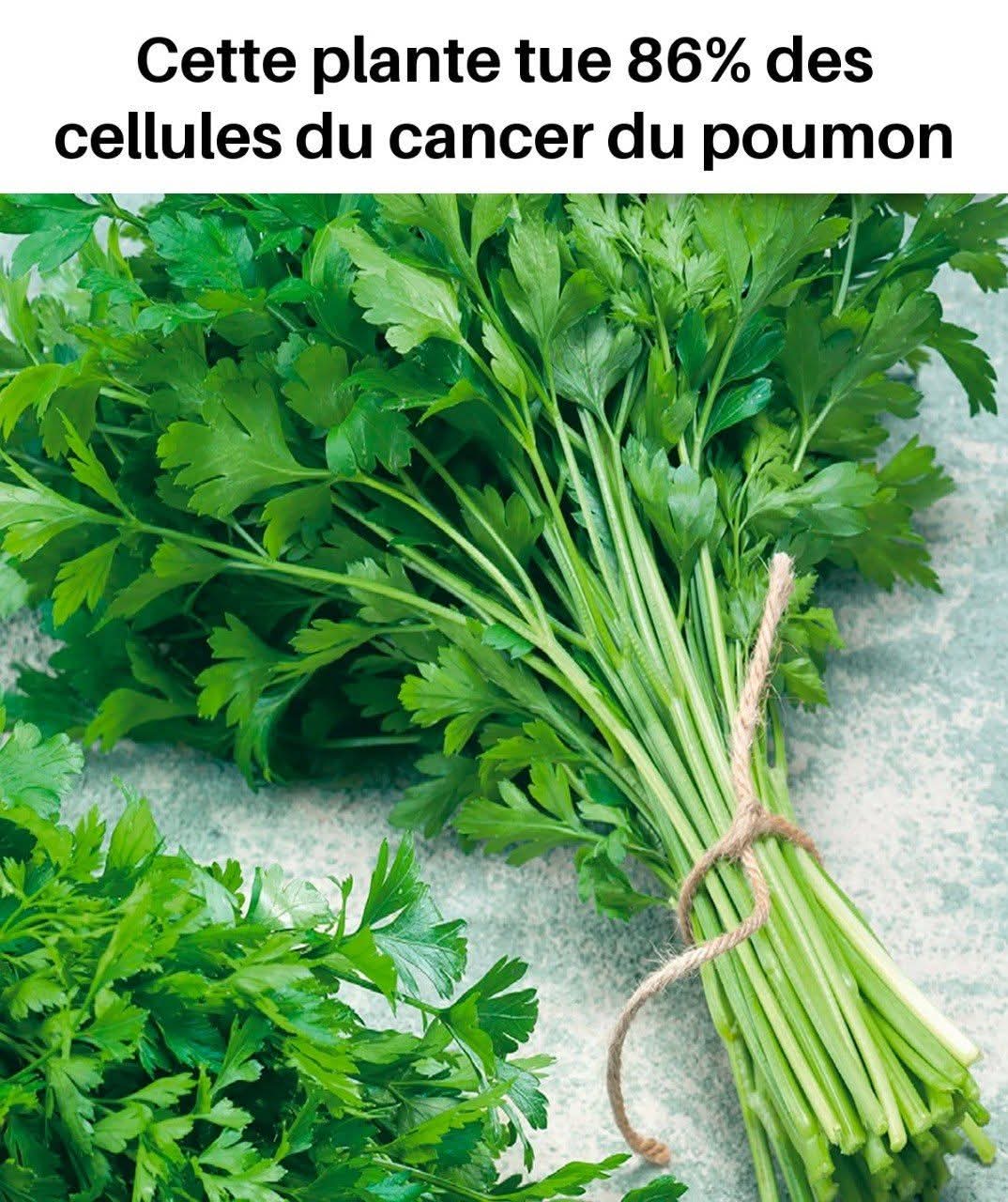 6c8e1005 f97f 46b3 b818 47e290f6caa7