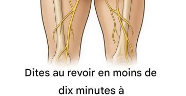 7aeb7c18 4c38 4746 a6c9 d1f22a247e71