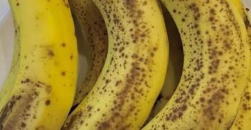 7b827406 7278 4ec6 972d 0d2460c7a26e