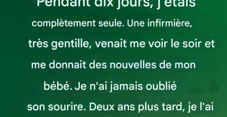 93ebfa54 6269 42b8 8040 9fa46526df31 1