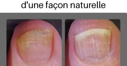 95489720 e522 4e74 ad17 c5e4e7f7b7d6