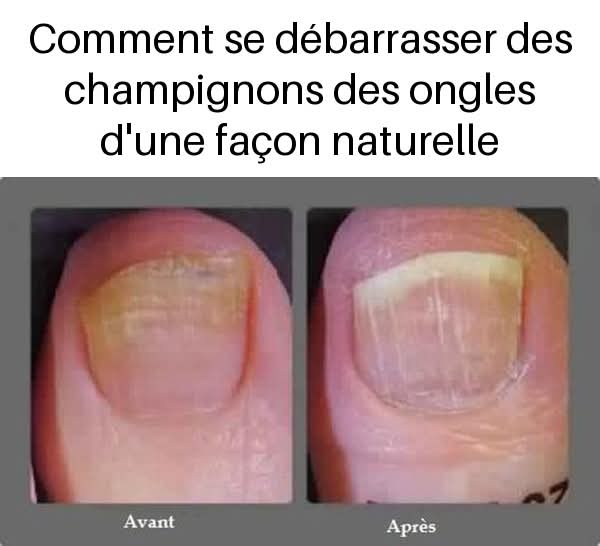 95489720 e522 4e74 ad17 c5e4e7f7b7d6