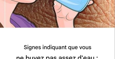 97f62d8a c0ca 40ed 85e1 1d2ec9cfc4c8 1024x1024