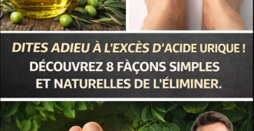 Capture decran 2025 12 29