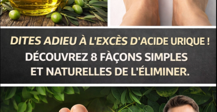 Capture decran 2025 12 29