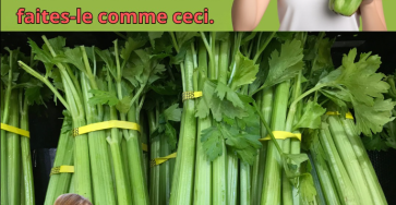 Capture decran 2026 01 01