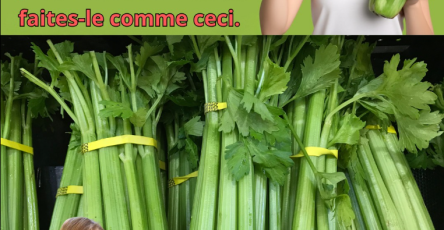 Capture decran 2026 01 01