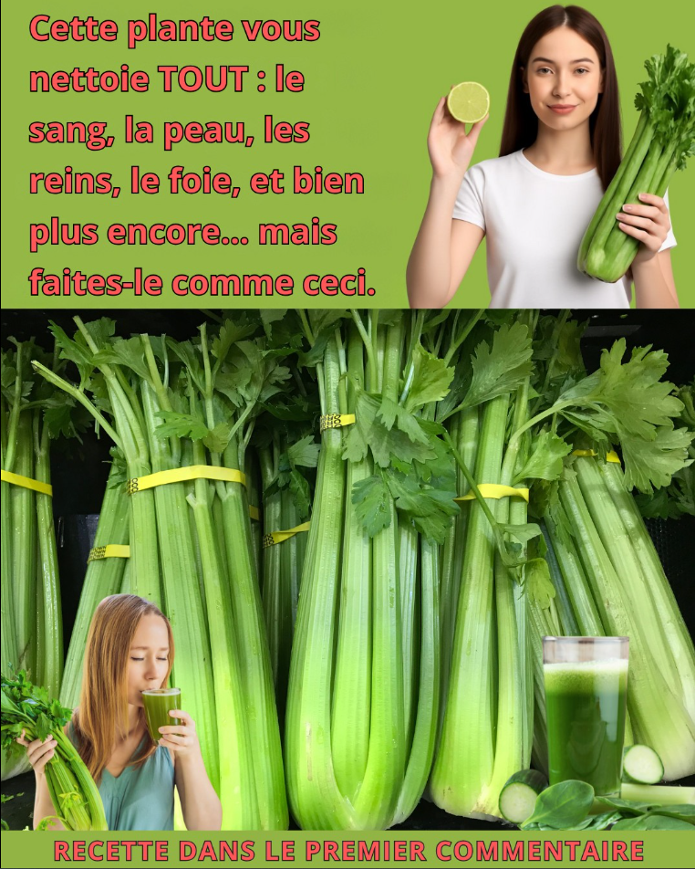 Capture decran 2026 01 01