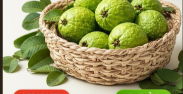 Capture decran 2026 01 23