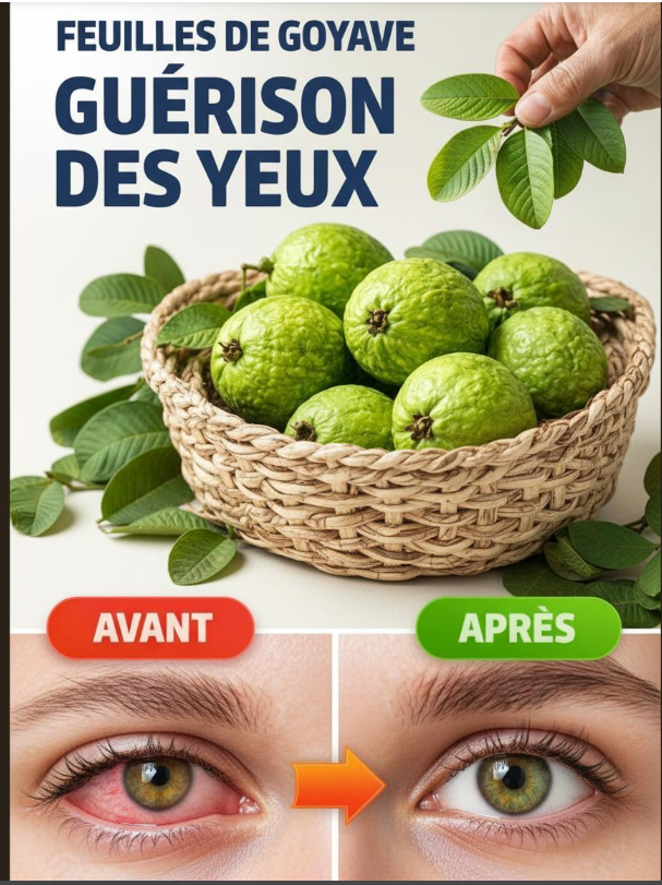 Capture decran 2026 01 23