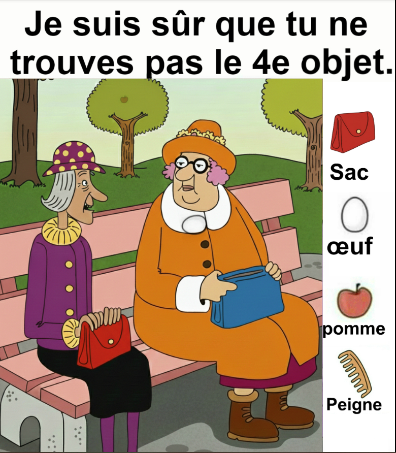 Capture decran 2026 01 24 221452 (1)