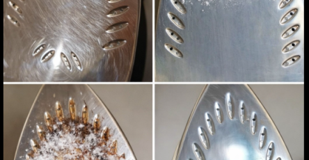 Capture decran 2026 01 27