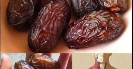 Capture decran 2026 02 10