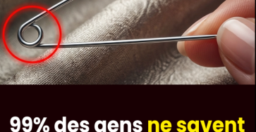 Capture decran 2026 02 21