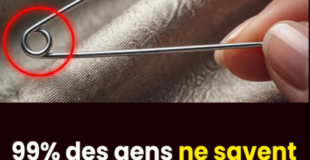 Capture decran 2026 02 21