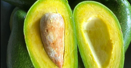 Capture decran 2026 02 26