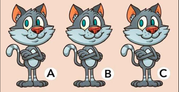 Capture decran 2026 03 07